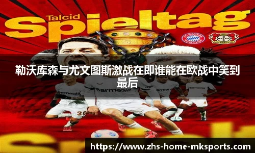 mk体育