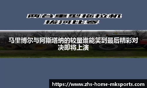 mk体育APP