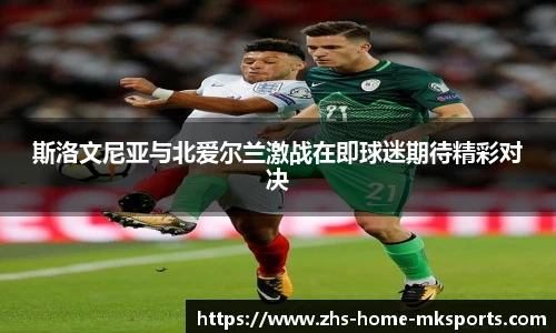 斯洛文尼亚与北爱尔兰激战在即球迷期待精彩对决